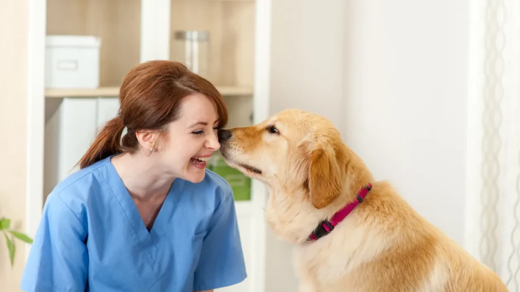 Quando Levar Seu Pet ao Veterinário em Guarulhos? Sintomas Que Não Podem Ser Ignorados"