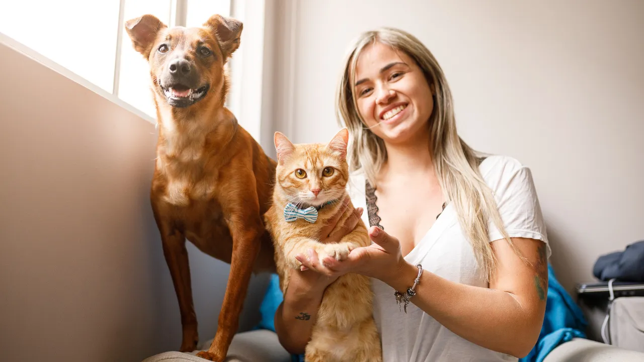 7 lugares para banho e tosa de cachorro em Guarulhos que seu pet vai amar