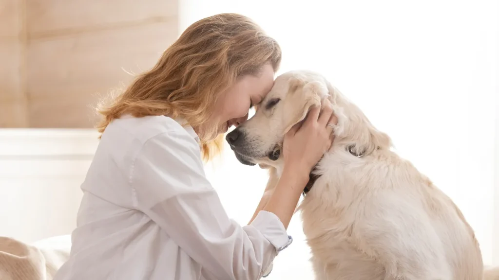 Quanto custa um hotel para cachorro em Guarulhos Quanto custa um hotel para cachorro em Guarulhos
